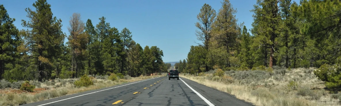 10 Best Restaurants in Williams, AZ