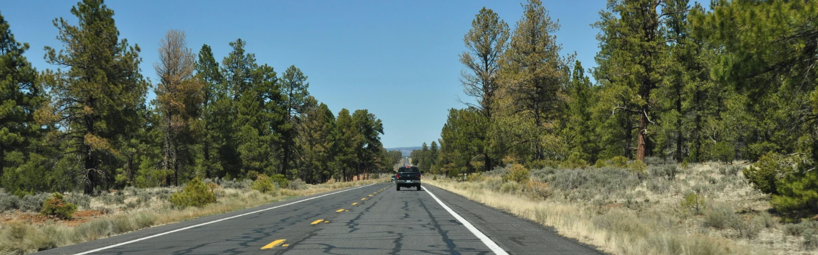 10 Best Things to Do in Williams, AZ