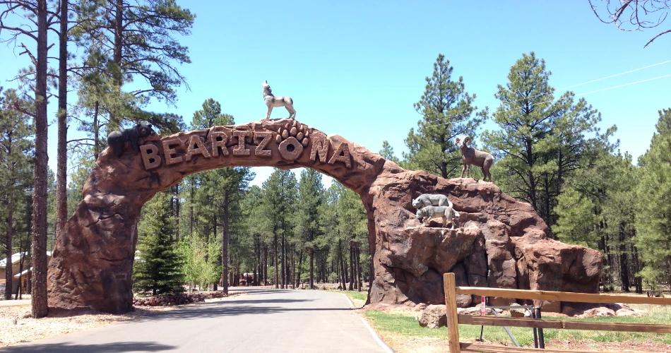 Traveling from Williams to the Grand Canyon