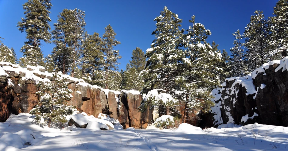 10 Best Winter Activities in Williams, AZ