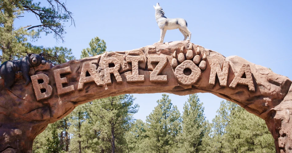 10 Best Things to Do in Williams, AZ